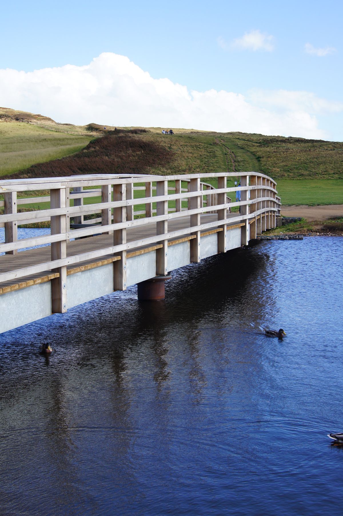 this is the new bridge at charmouth