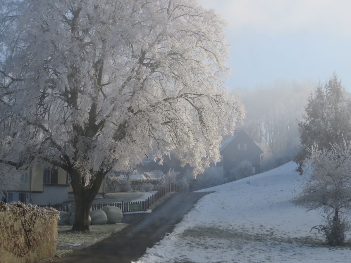 ueber dem Nebel