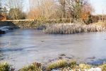 took this when i whent out for walk to day 2012 feb it was very icey