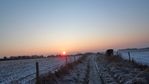 Early morning sunrise on way to Itchen Abas on Saturday 11 Feb 2012, in -8 degrees C. Firey sunlight promises to melt harsh frost.