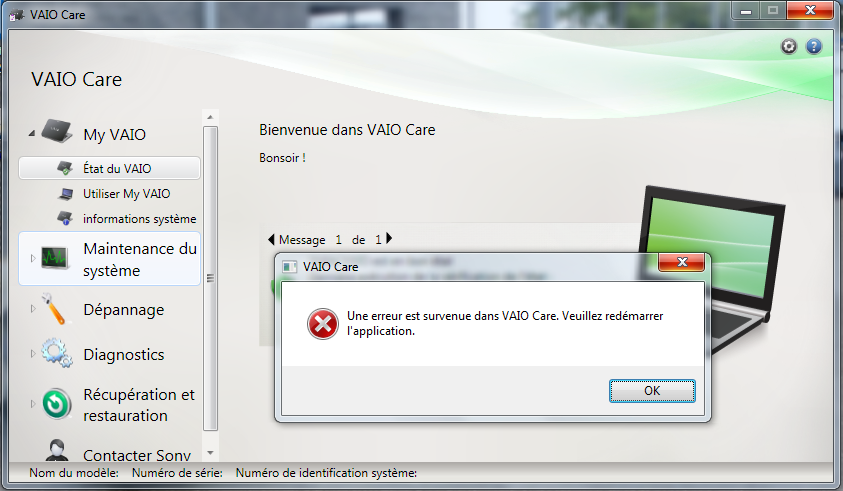vaio 2.PNG