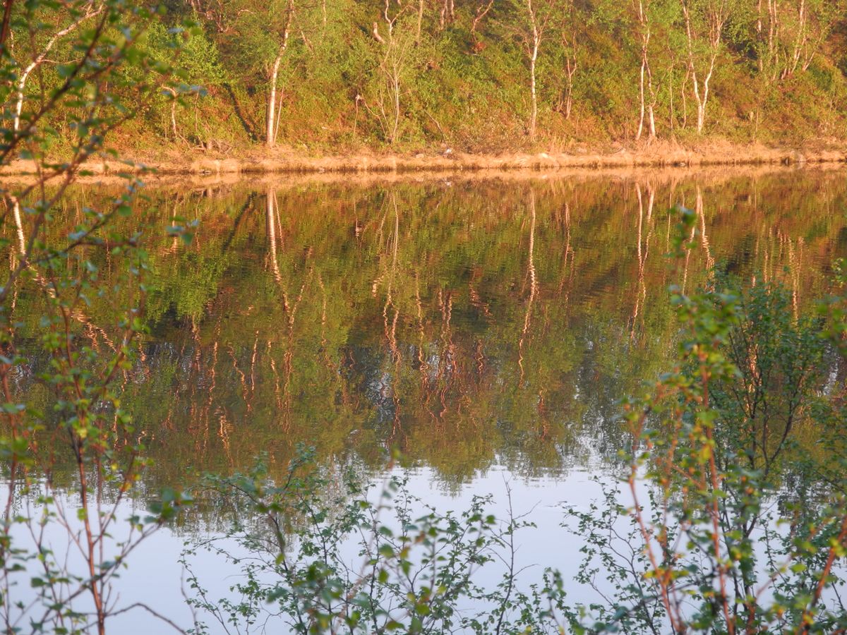 Россия, Кольский полуостров, река Ура, день, 01.06.2013 г.