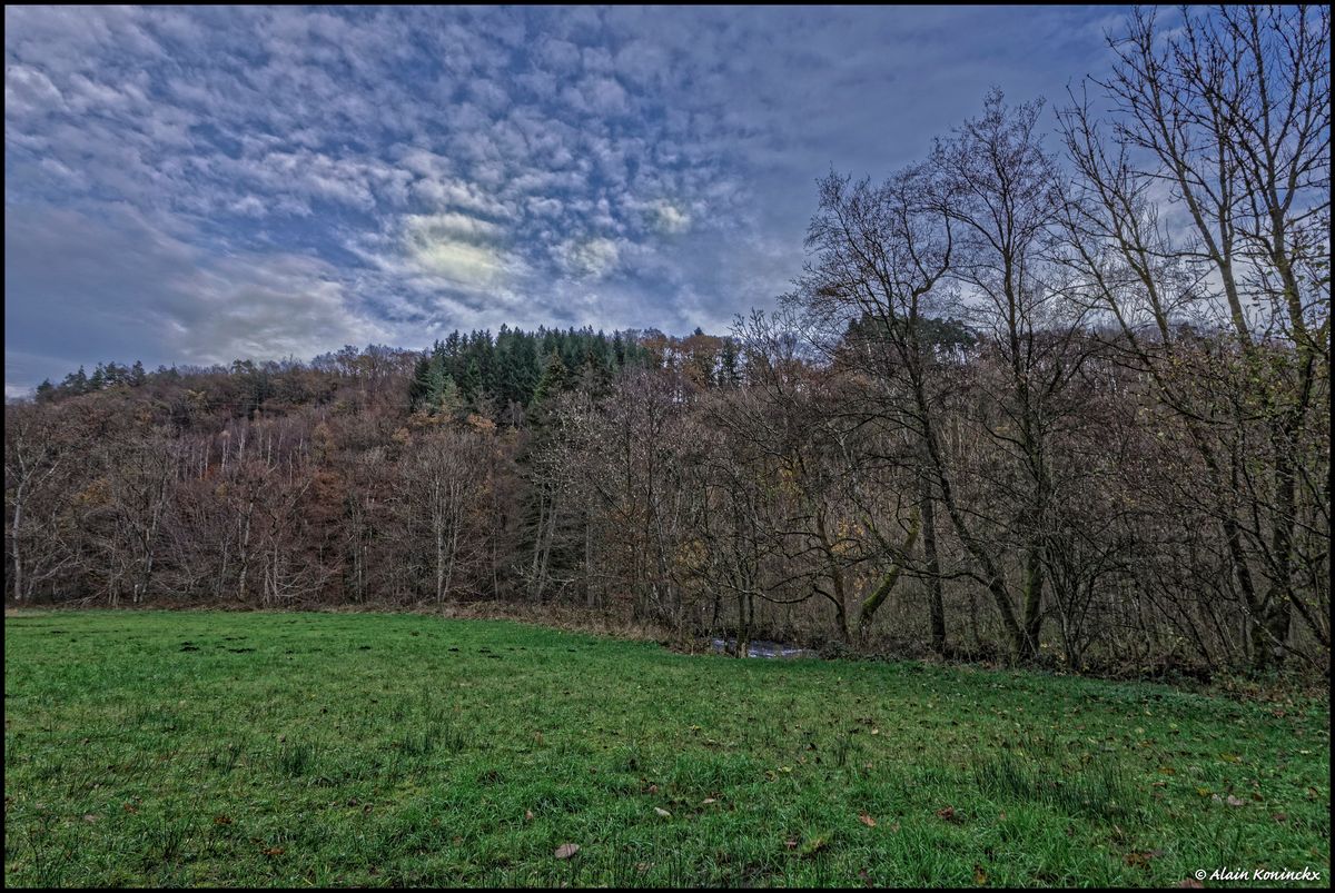 Vallée de la Lienne