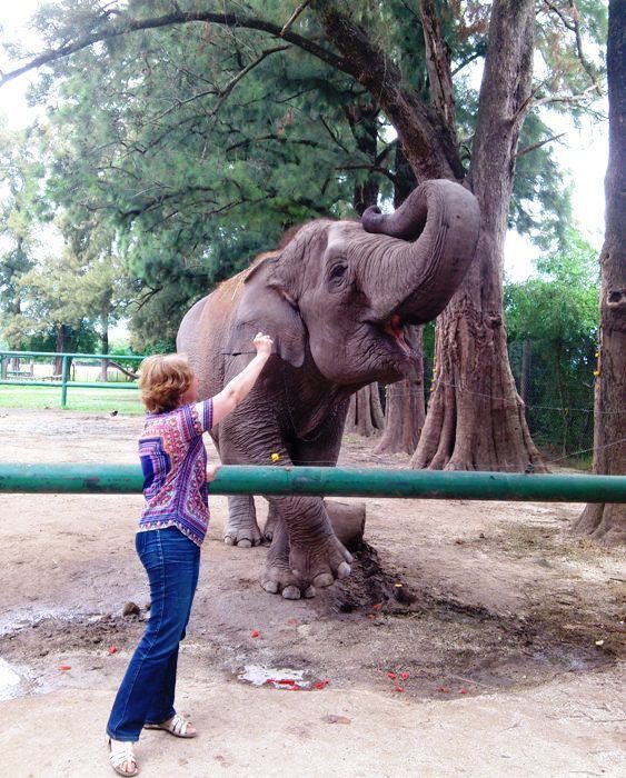 Talking to an elephant - Luján Zoo (Argentina)