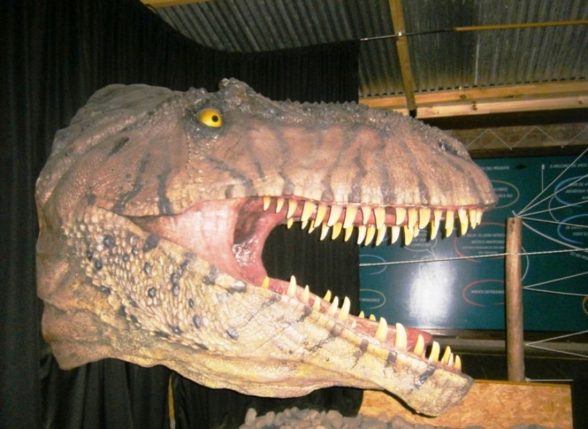 Recalling extinct animals - A Museum in Argentina