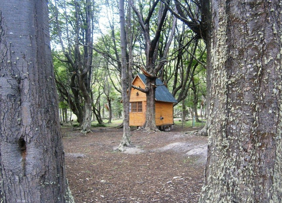 a log cabin in the woods - Argentinean Patagonia