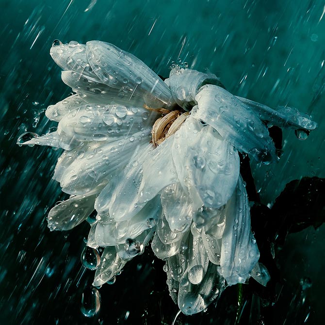 1st-place.jpg 1st-place.jpg