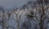 DSC08885.JPG