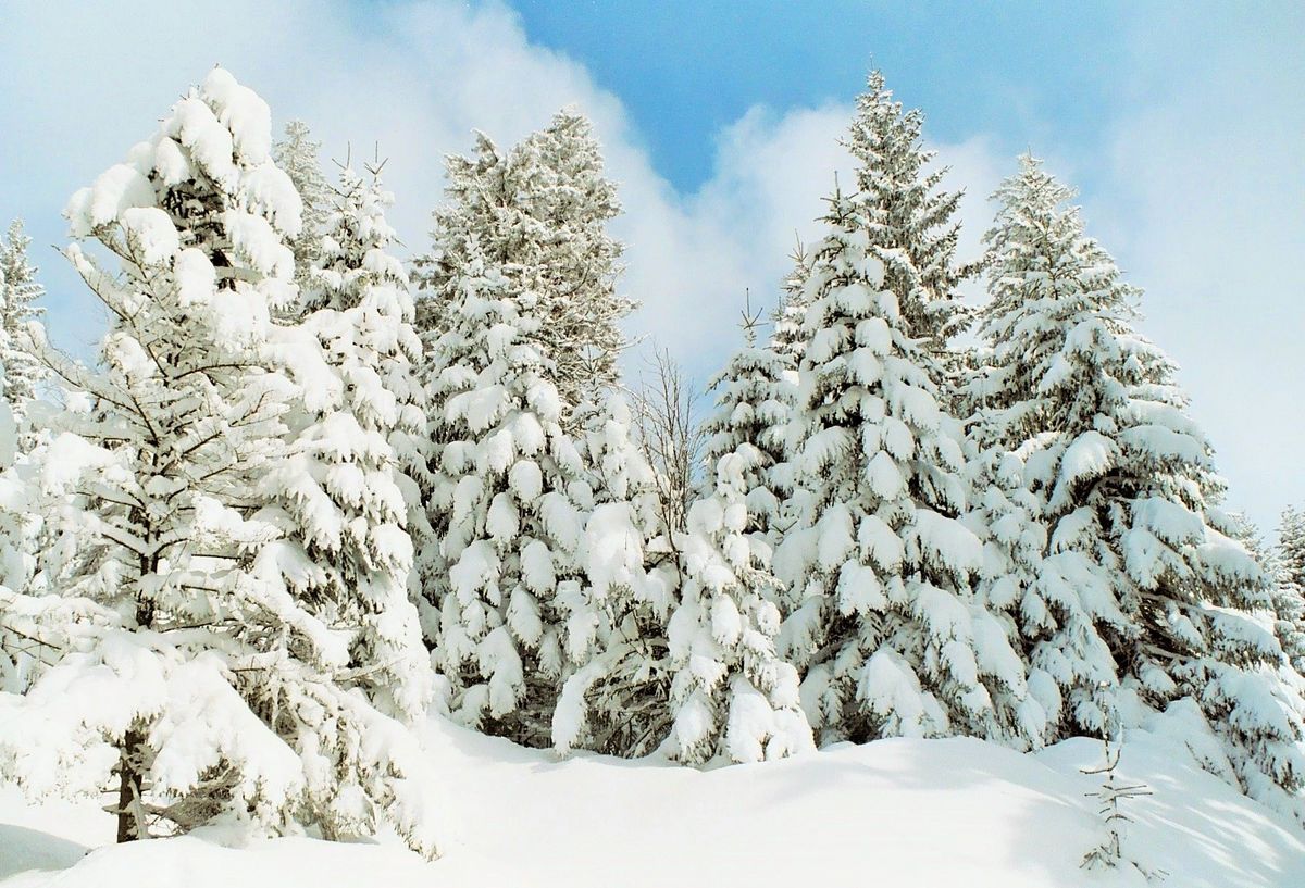 hiver sur l'eifel