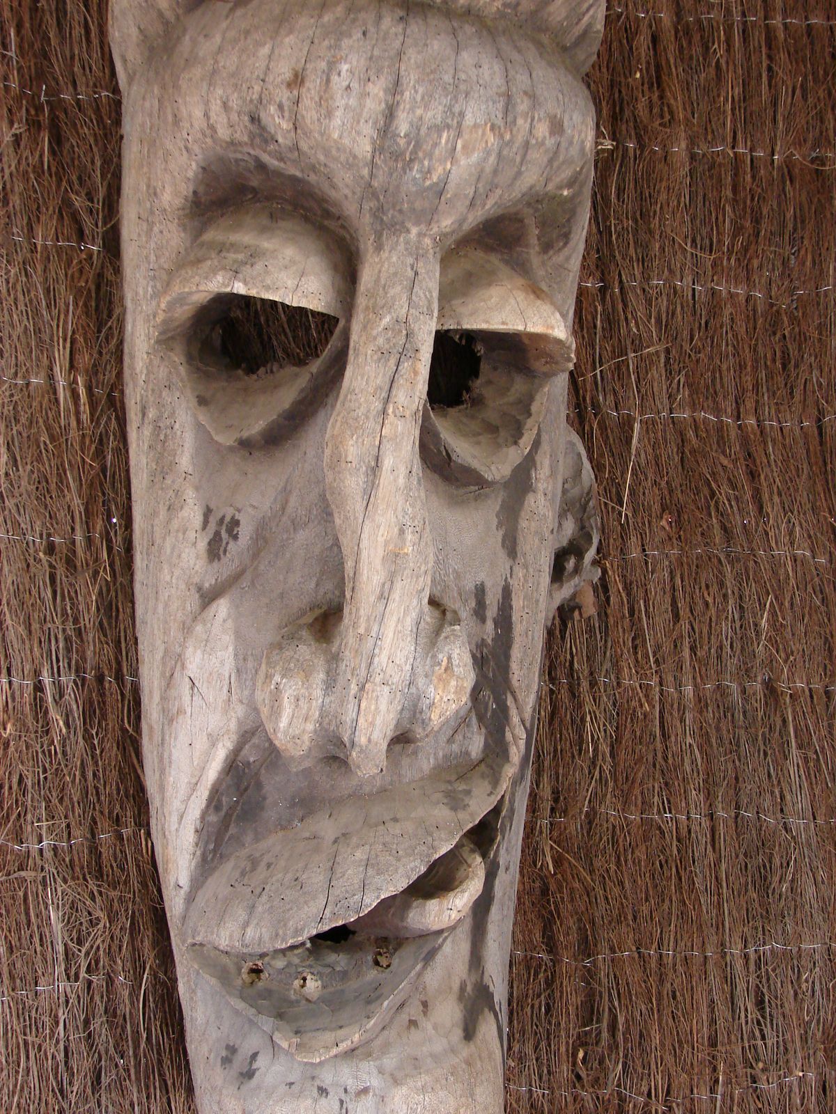 sculpture africaine sur bois ( pairi daiza )