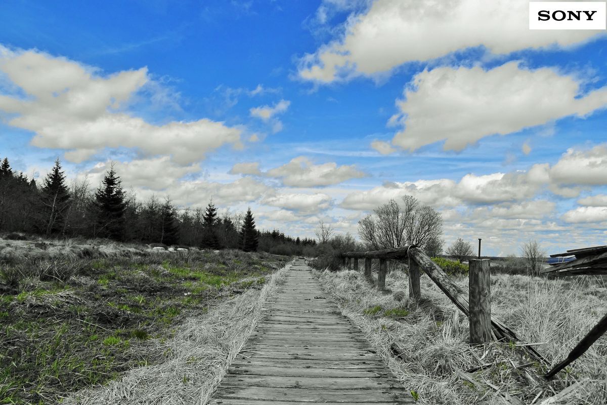 caillebotis dans l'eifel (couleurs partielles)