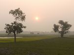 Sunset in a village Bangladesh