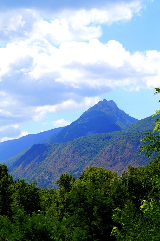 La Dent du Chat est un des sommets du mont du Chat, situé dans le Sud du massif du Jura et culminant à 1 390 m d'altitude. Il s'étire en bordure ouest du lac du Bourget, dans le département de la Savoie.