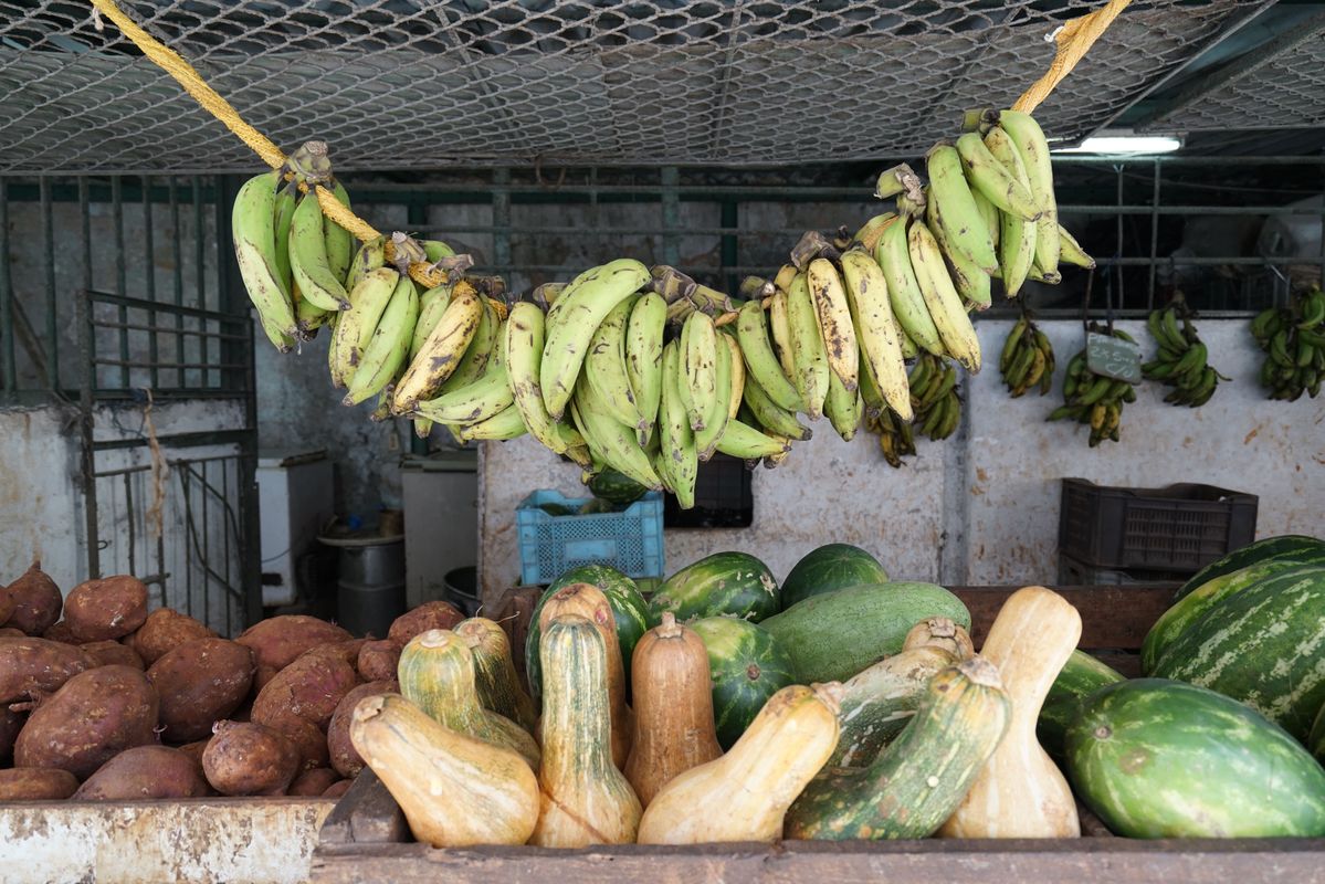 Étalage fruits à Cuba