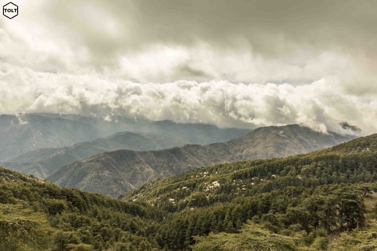 Montagne-Chréa-Algérie.jpg