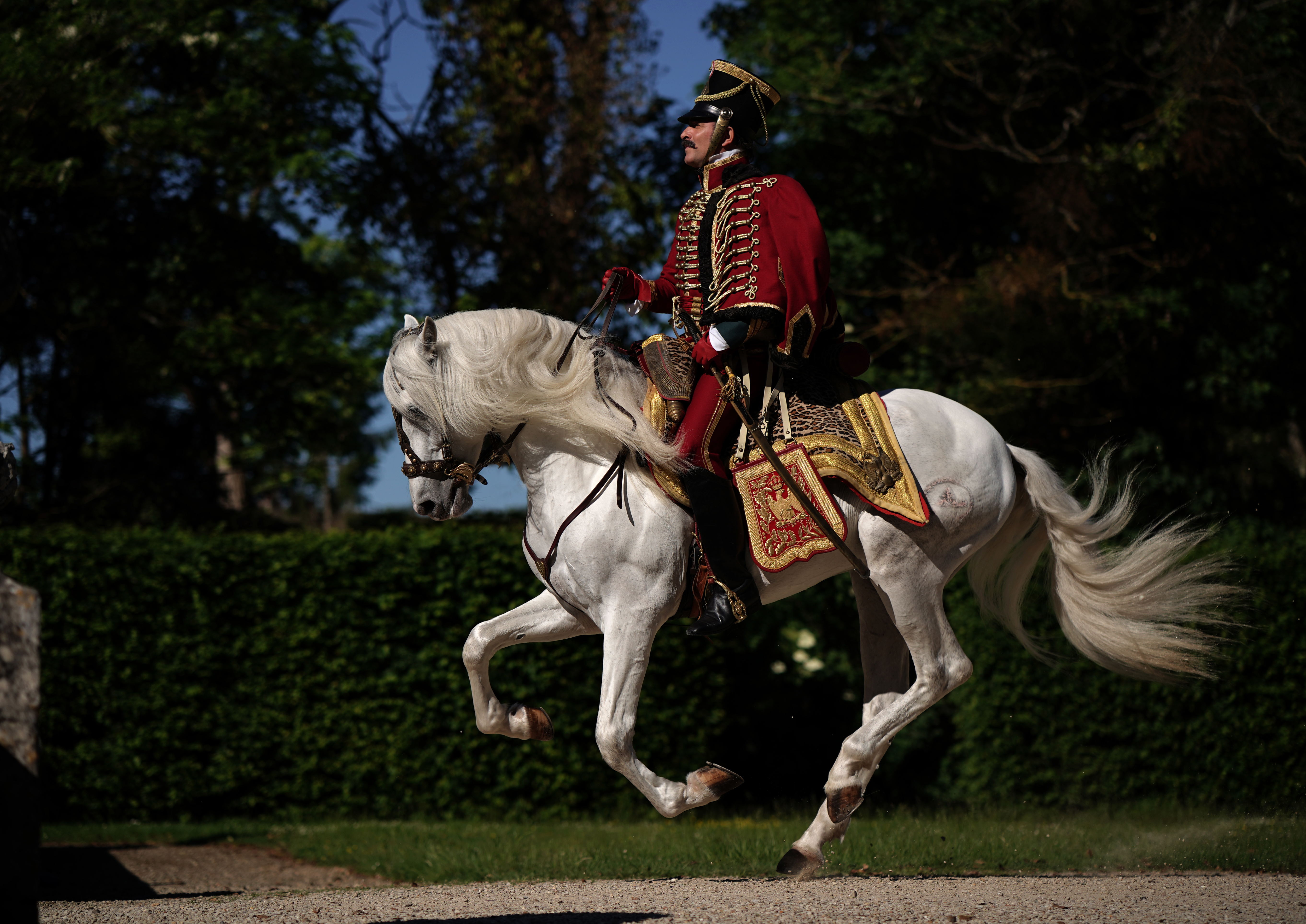 Jean Dujardin by Christophe Brachet.jpg