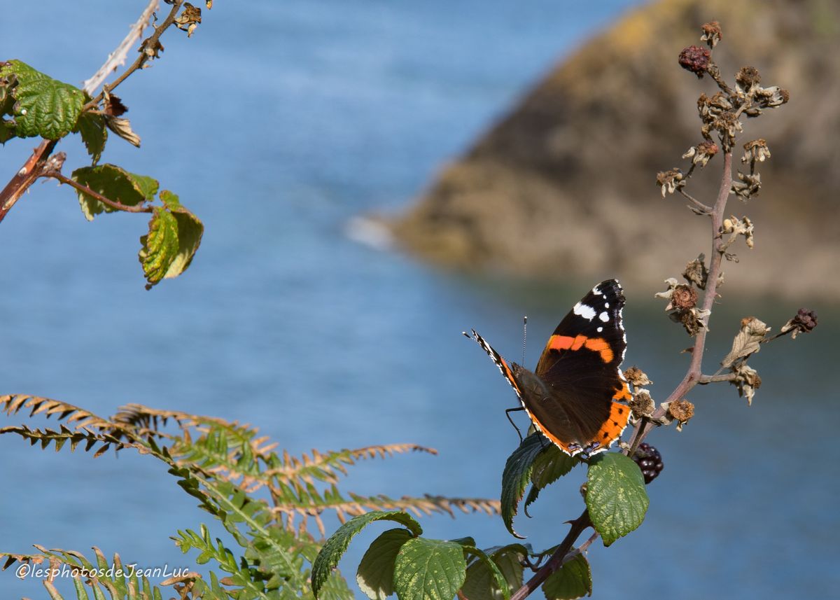 Rencontre sur le GR34