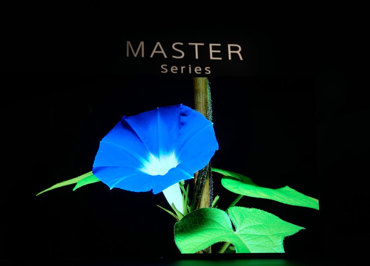 master.jpg