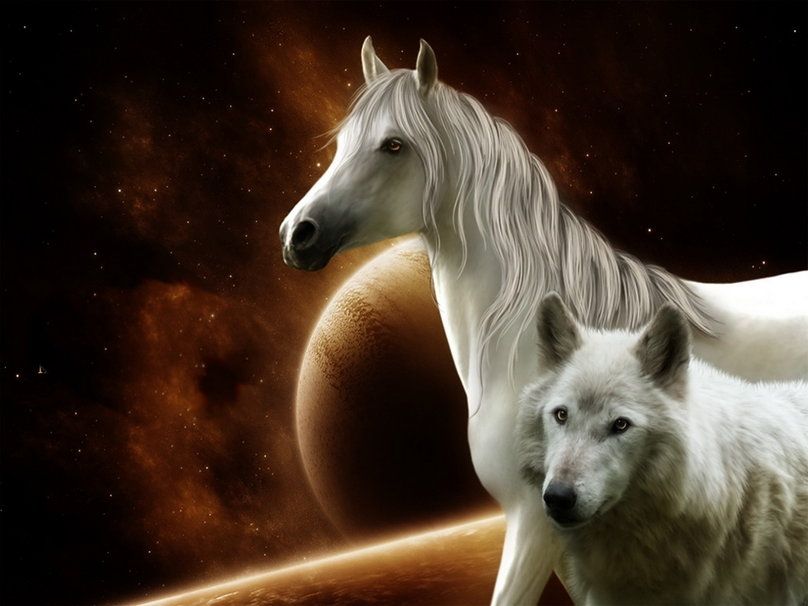 25196__horse-and-wolf_p.jpg
