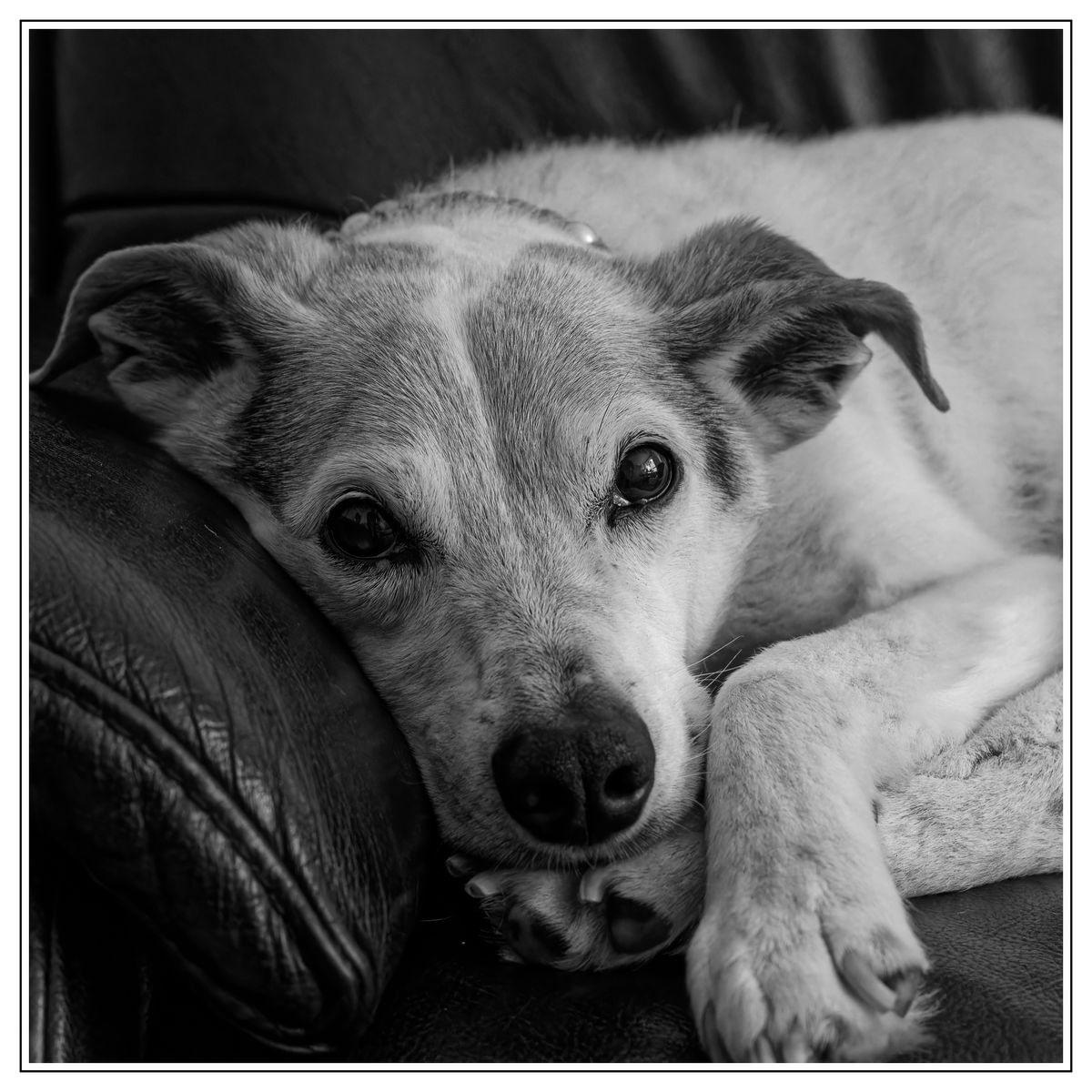 Sophia auf der Couch