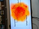 IMG_3703.jpeg