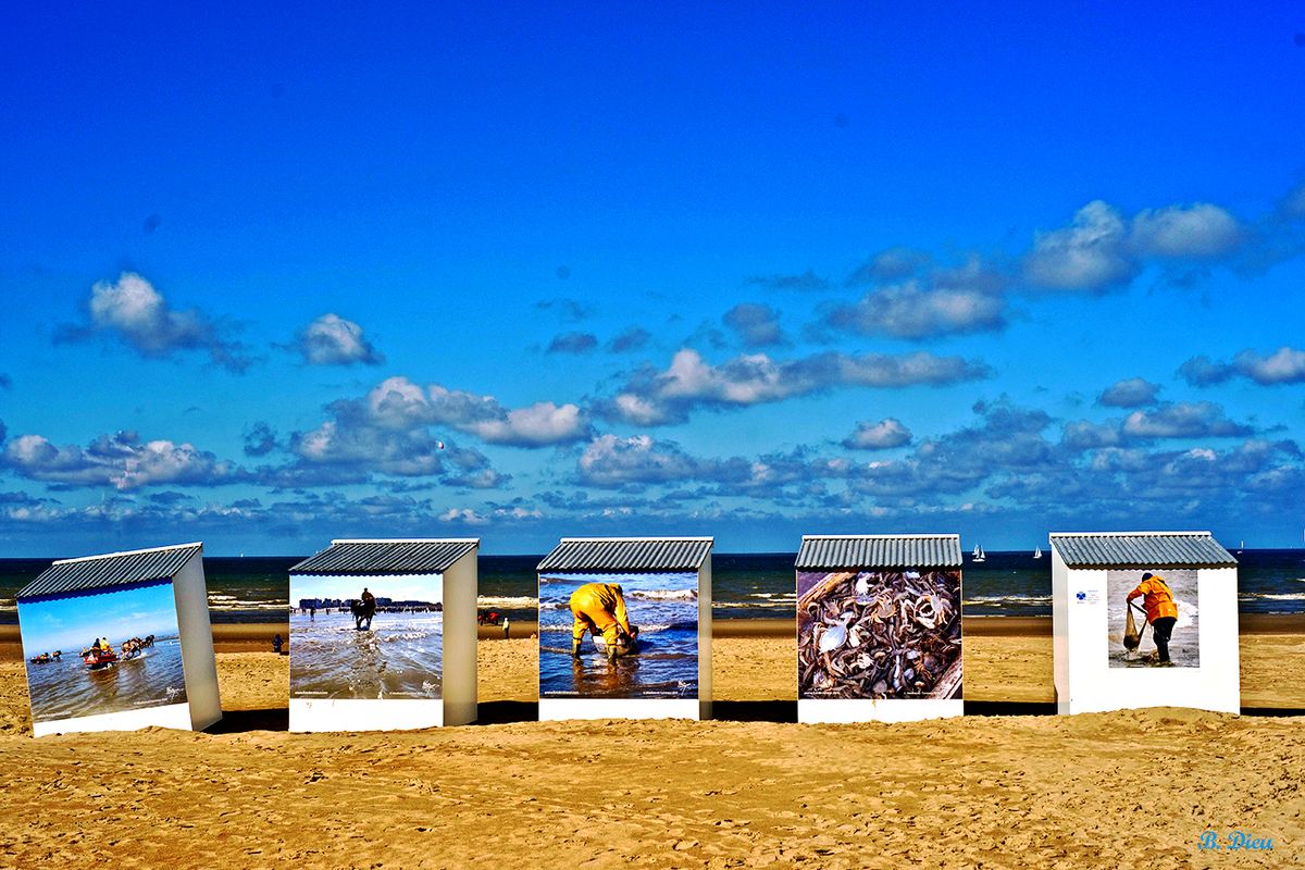 Cinéplage à la Mer du Nord