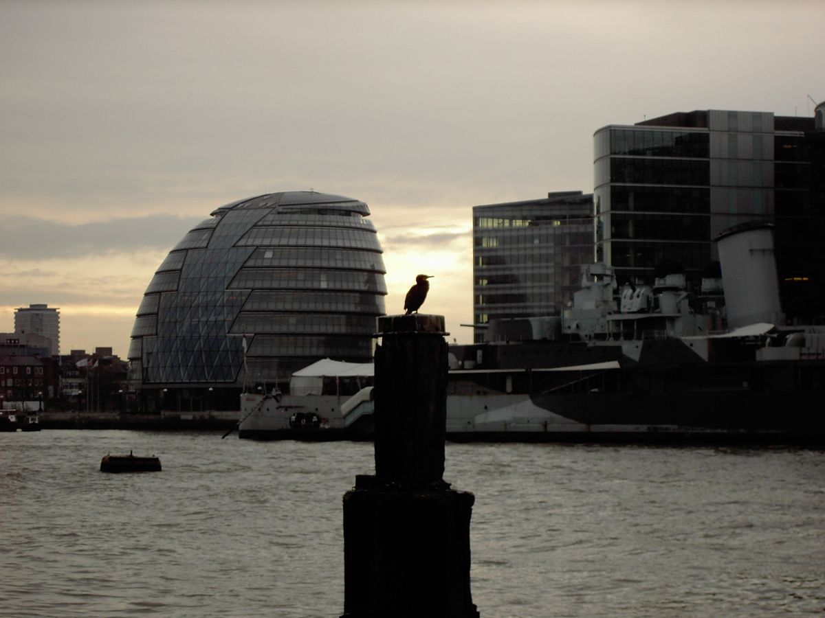 Londoner bird